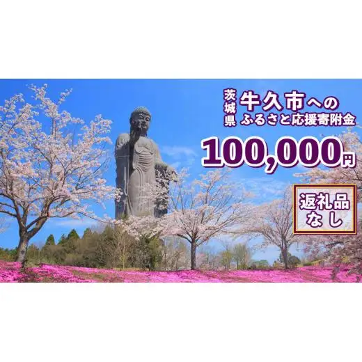 【 返礼品なし 】 茨城県 牛久市 ふるさと応援寄附金 ( 100,000円 )