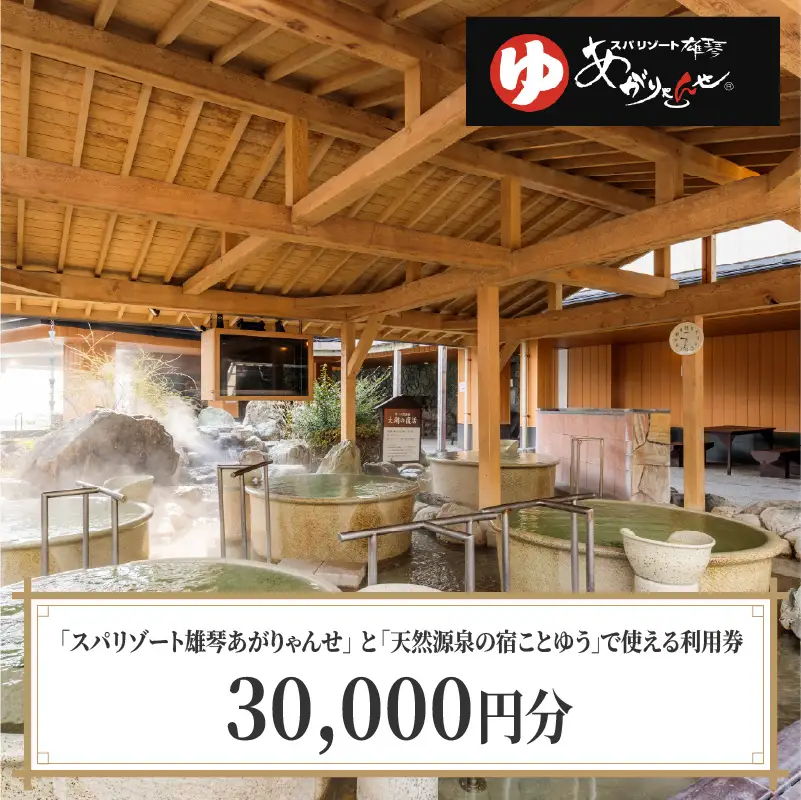 スパリゾート雄琴あがりゃんせ と 天然源泉の宿ことゆう で使える 利用券（30,000円分） 温泉券