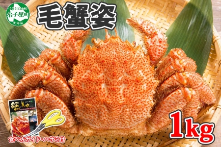 ボイル毛蟹姿 1kg 食べ方ガイド・専用ハサミ付 カニ かに 蟹 海鮮 送料無料 北海道 弟子屈町 【廃盤】404