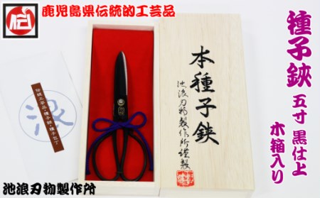 種子島 伝統工芸 種子 鋏 (たねばさみ) ５寸 黒仕上 木箱入　NFN160【975pt】