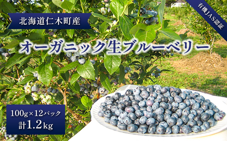 [2026年発送]【有機JAS認証】北海道仁木町産オーガニック生ブルーベリー 100g×12パック 計1.2kg 果物 フルーツ 有機栽培 安心安全 樹上完熟 手摘み [株式会社 自然農園]