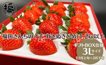福田さんちのイチゴ(さぬきひめ) 3Lサイズ 1.2kg以上 ギフトボックス3箱【配送不可：北海道、沖縄、離島エリア】苺 農園直送 いちご採れたて 直送
