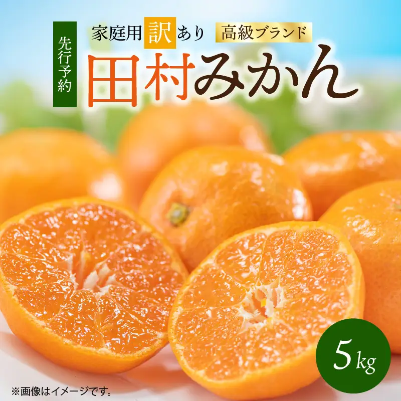 【2026年先行予約】高級ブランド 田村みかん 約5kg【家庭用 訳あり】_G7342