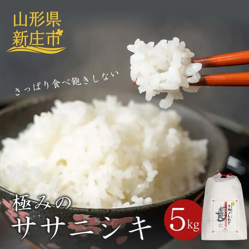 【令和8年産米先行予約】極みの ササニシキ 精米 5kg 新米  F3S-2852