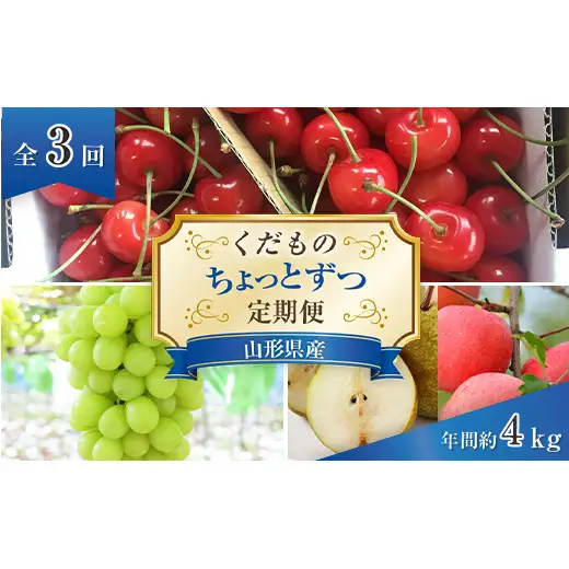 【令和9年産先行予約】 《定期便3回》 くだもの”ちょっとずつ”定期便 『南陽中央青果市場』 山形県 南陽市 [1013-R9]