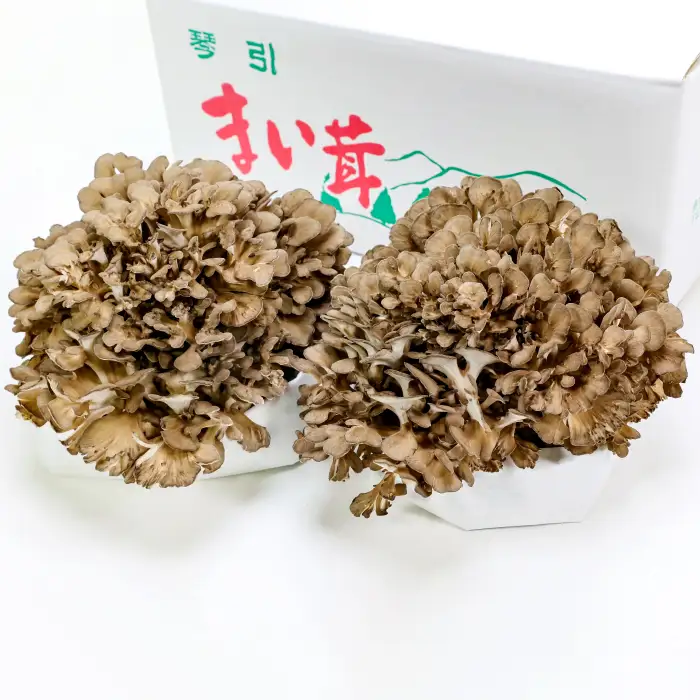 島根県飯南町産 生舞茸セット 約400ｇ×２株【きのこ キノコ 贈答用 ギフト まいたけ Ａ-93】