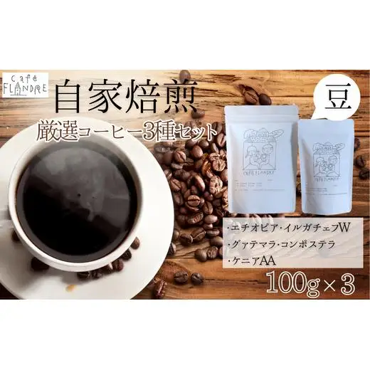 【自家焙煎】カフェ・フランドル厳選コーヒー3種セット（100g×3・豆） 2025/9/19～