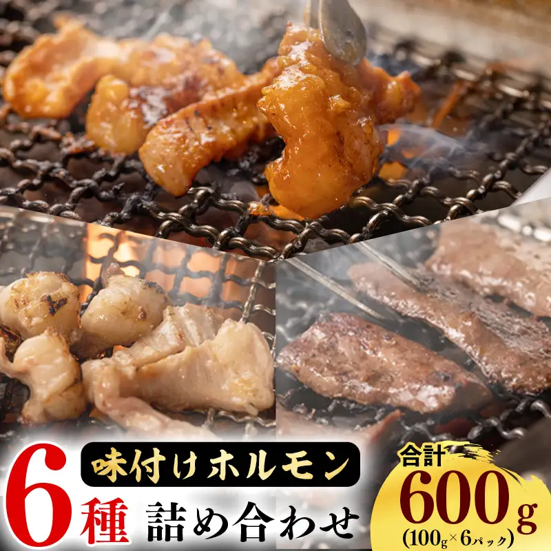 【30営業日以内配送】お家で焼肉店の味！特製タレ漬け込み 牛ホルモン6パック！味付きで100gずつ小分けだから使いやすい　012-D-YL006