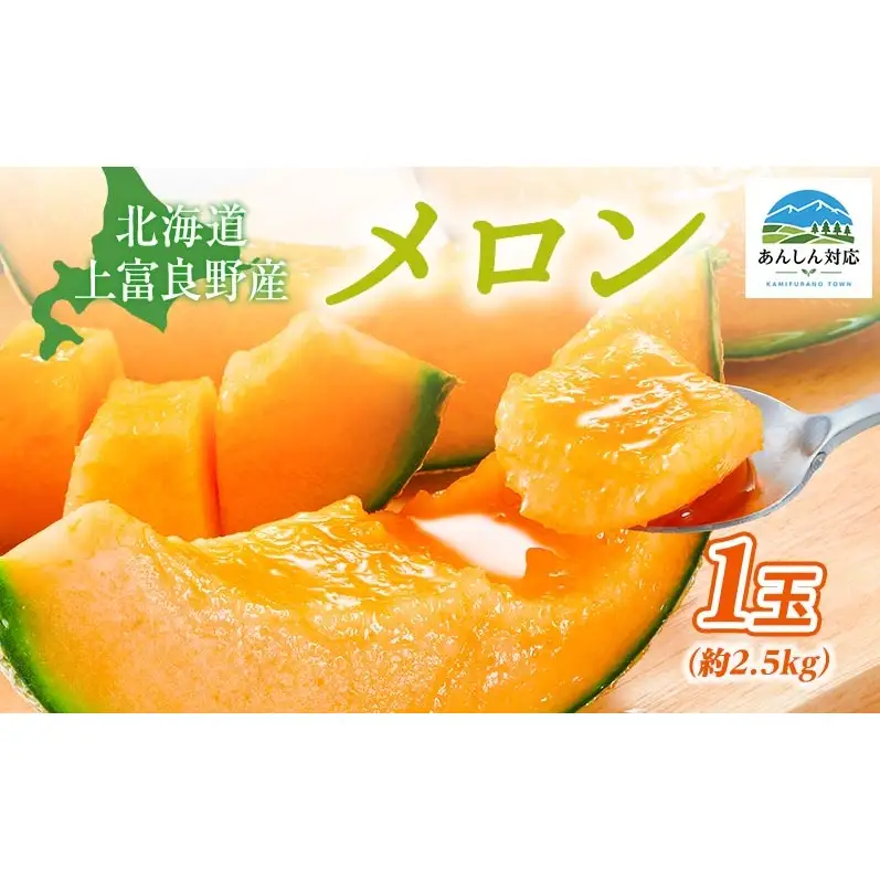 【令和8年産】JAふらの厳選！約2.5kg×1玉 赤肉メロン メロン めろん 富良野メロン 果物 くだもの フルーツ 富良野 デザート 北海道 国産 上富良野産 北海道産 食後 来客 北海道メロン