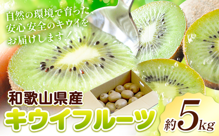 キウイ約5kg
