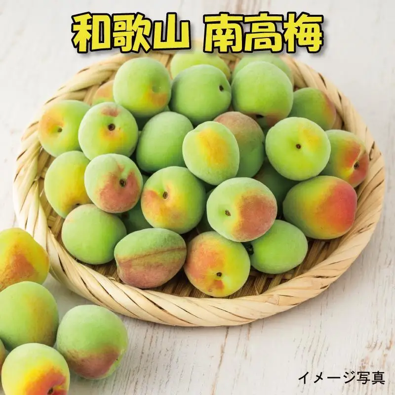 ［梅干・梅酒用］（LまたはM－10Kg）熟南高梅＜2027年6月上旬～7月中旬発送予定＞フルーツ 果物 くだもの 食品 人気 おすすめ 送料無料［ART08］