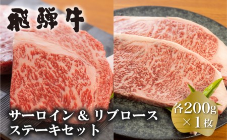 白川郷 飛騨牛 サーロイン ステーキ 200g リブロース ステーキ 200g 計400g [S376]