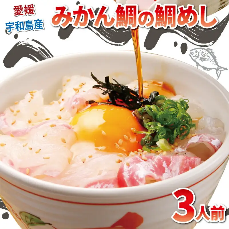 真鯛 みかん 鯛めし 3人前 和日輔 郷土料理 D010-091003