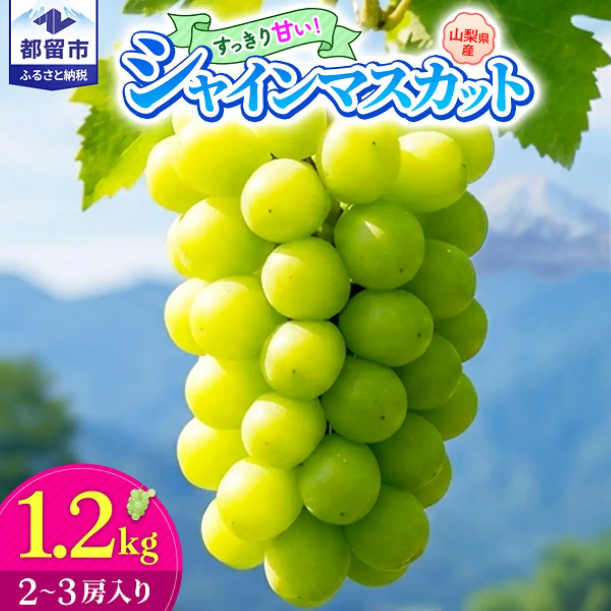 【2026年先行予約】【山梨県都留市ふるさと納税】クール便配送　山梨県産シャインマスカット約1.2kg(2～3房)