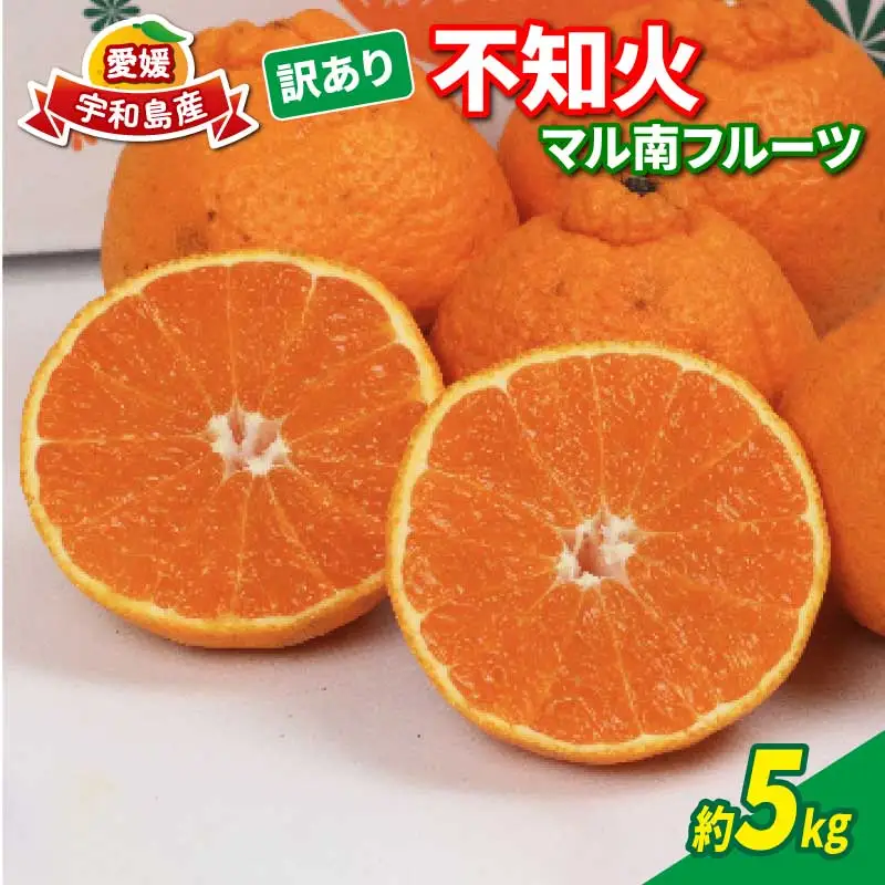 訳あり 不知火 デコポン ( デコポン と同品種) 5kg マル南フルーツ B010-106022