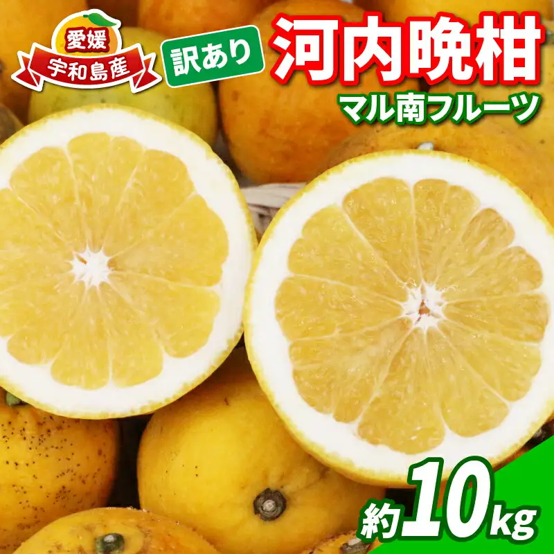 訳あり 河内晩柑 10kg フルーツ マル南フルーツ B010-106025