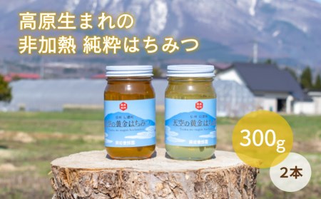 限定数】非加熱 純国産100％『天空の黄金はちみつ』300g2個セット