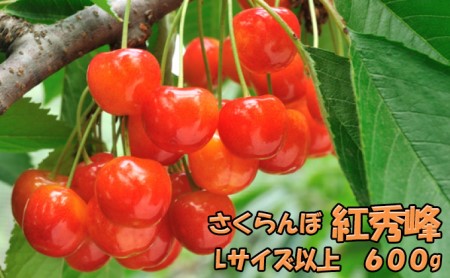 さくらんぼ 600g 紅秀峰 サクランボ
