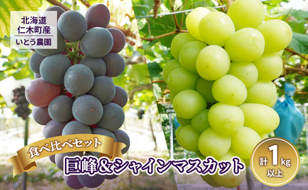 [2026年発送] 9月出荷 北海道 仁木町産 葡萄 食べ比べセット『 巨峰 ＆ シャインマスカット 』（計1kg以上）ブドウ ぶどう 果物 フルーツ 旬の果物 産地直送 [いとう農園]