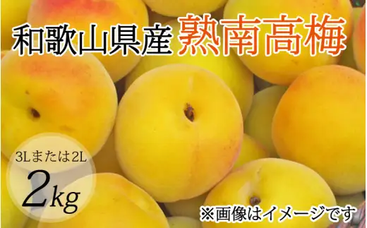 【梅干・梅酒用】（3Lまたは2L－2Kg）熟南高梅 秀優混合 / フルーツ 果物 くだもの 食品 人気 おすすめ 送料無料 ※2027年6月上旬～7月上旬頃順次発送予定 ※沖縄・離島への配送不可 【art008B】
