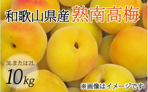【梅干・梅酒用】（3Lまたは2L－10Kg）熟南高梅 秀優混合 / フルーツ 果物 くだもの 食品 人気 おすすめ 送料無料 ※2027年6月上旬～7月上旬頃順次発送予定 ※沖縄・離島への配送不可 【art009C】