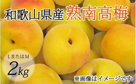 【梅干・梅酒用】（LまたはM－2Kg）熟南高梅 秀優混合 / フルーツ 果物 くだもの 食品 人気 おすすめ 送料無料 ※2027年6月上旬～7月上旬頃順次発送予定 ※沖縄・離島への配送不可 【art012B】