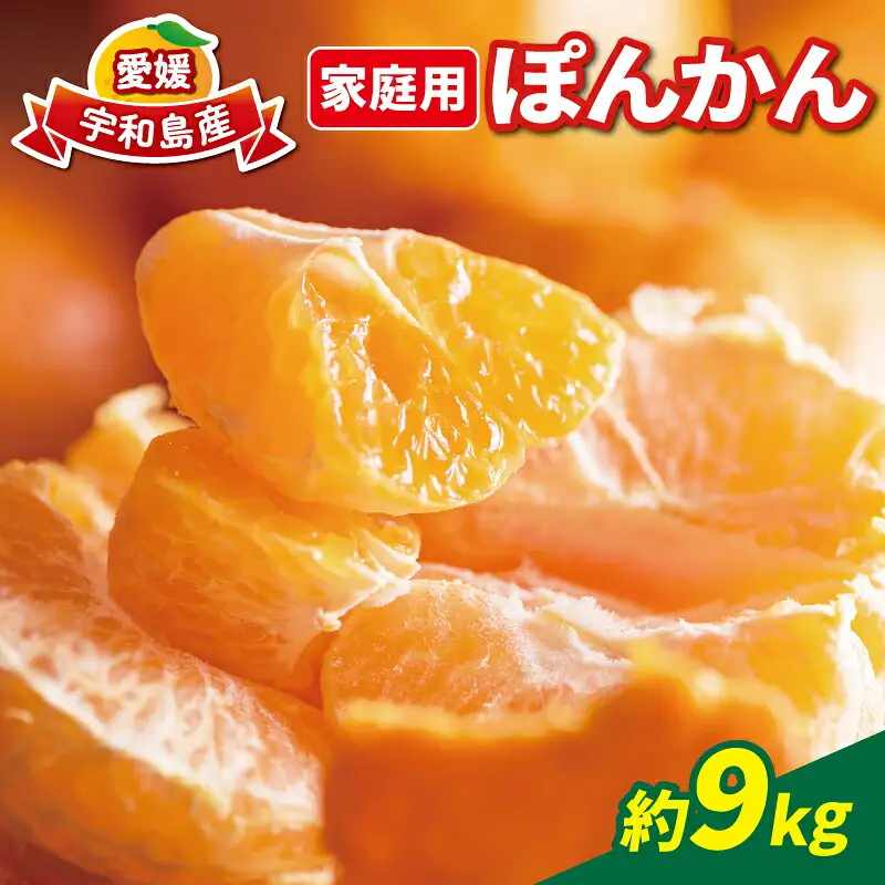  【宇和島産ポンカン】冬の柑橘 ポンカン 9kg 玉津柑橘 B010-072003
