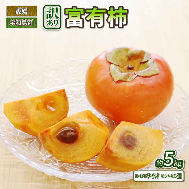 訳あり 柿 富有柿 15～16個 5kg L 2L ふゆう柿 末光農園 先行予約 不揃い kaki かき ふゆうがき カキ フルーツ 訳アリ 訳あり品 訳有り わけあり 果物 くだもの 産地直送 農家直送 数量限定 国産 愛媛 愛媛県産 宇和島 F012-118002