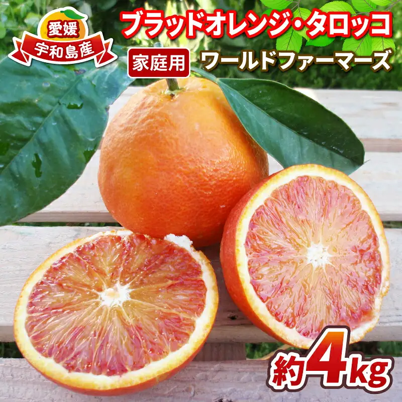 家庭用 ブラッド オレンジ タロッコ 4kg WF オレンジ B012-024012