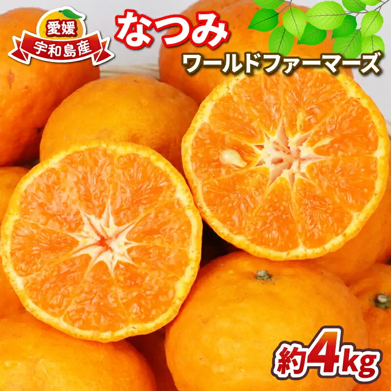 【家庭用】なつみ4kgWF柑橘 柑橘 B012-024013