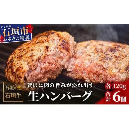 石垣の恵 石垣牛 生ハンバーグ6個【合計720g】KB-101