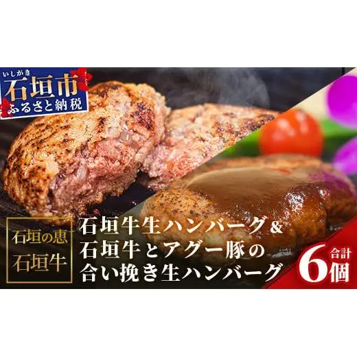 石垣牛生ハンバーグ＆石垣牛とアグー豚の合い挽き生ハンバーグ【合計720g】KB-102