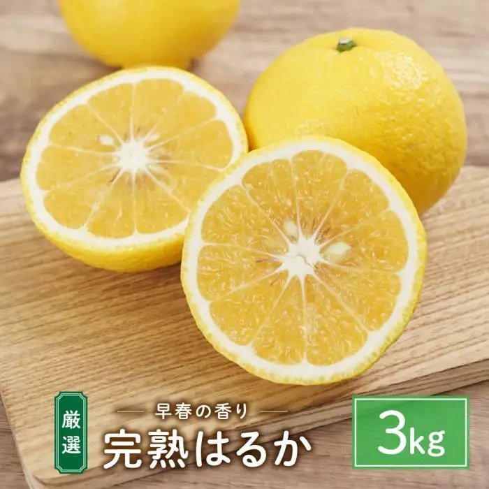 完熟はるか 3kg ドルチェみかん