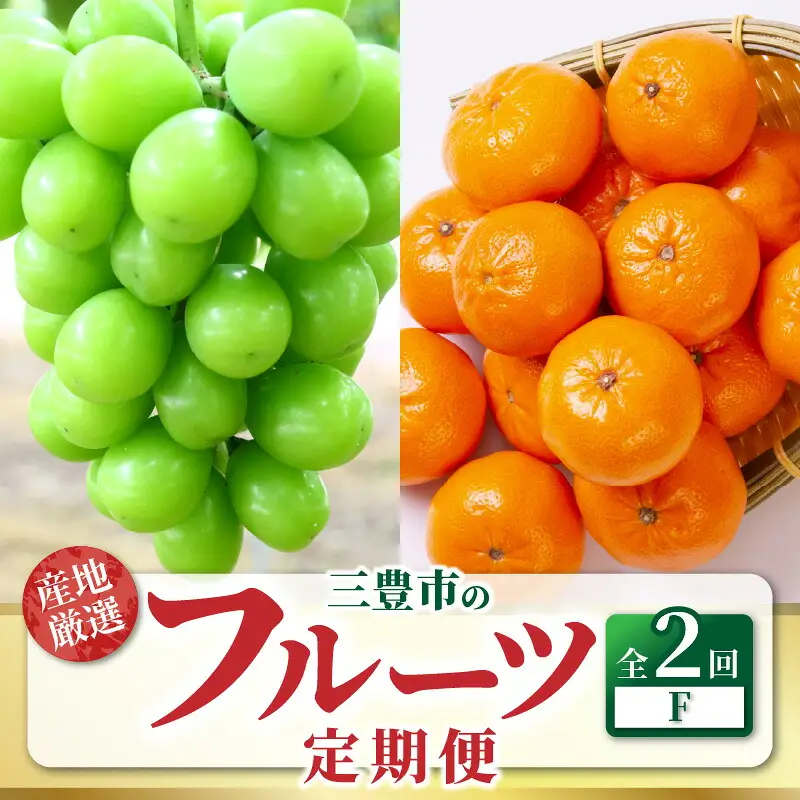 三豊市フルーツ2回お届け定期便 F