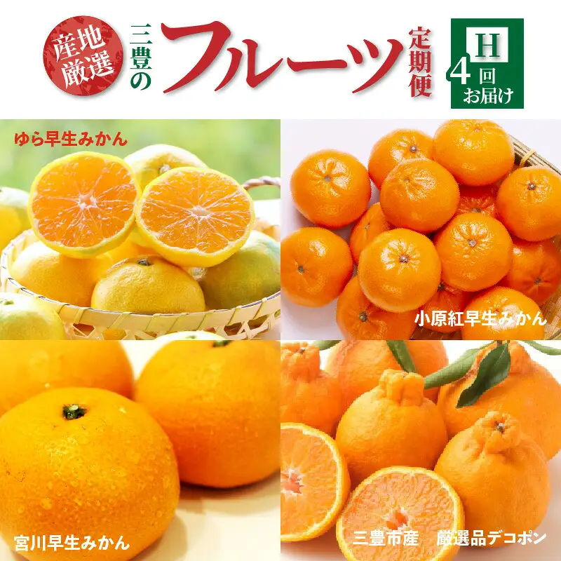 産地厳選三豊のフルーツ4回定期便 H