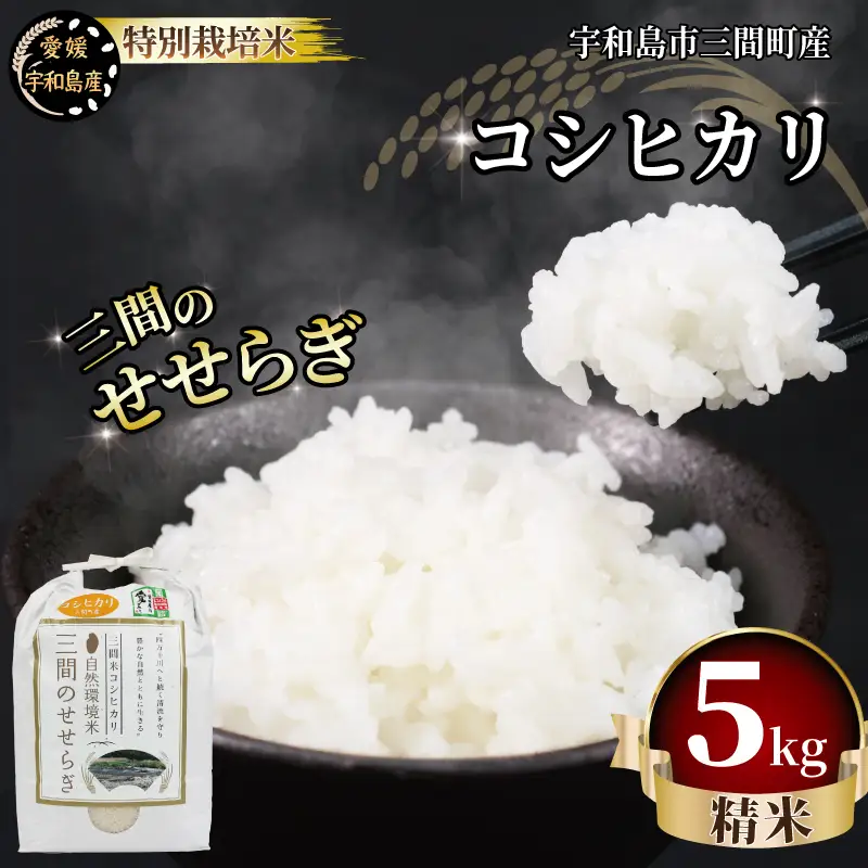 特別栽培米 三間のせせらぎ 三間町産 コシヒカリ 5kg 渡辺農園 ご飯 美味しい G014-117001
