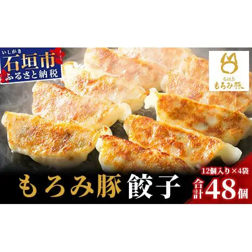 もろみ豚 特製 餃子 4パック【合計48個】 AH-5