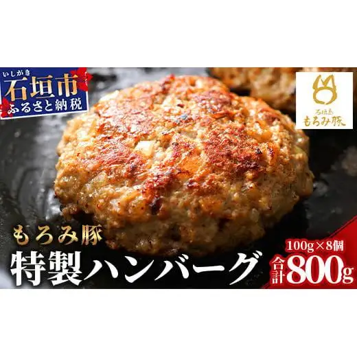 もろみ豚 特製 ハンバーグ 100g×8個【合計800g】 AH-8-1