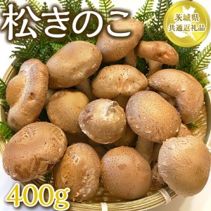 茨城県産　松きのこ400ｇ 【茨城県共通返礼品 水戸市】