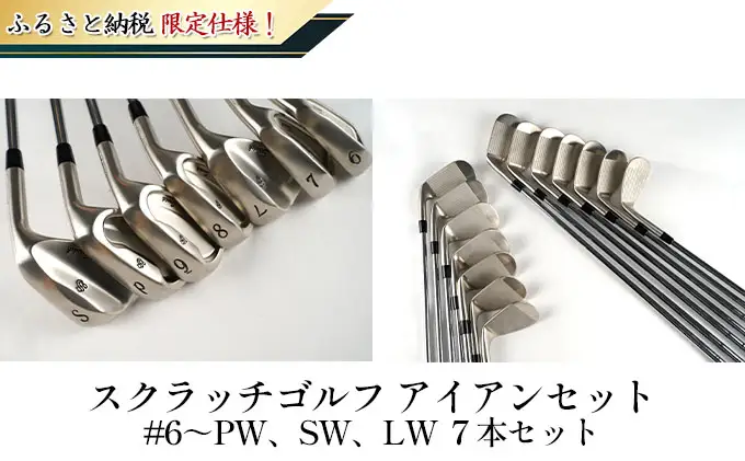 ゴルフ アイアン 7本 軟鉄鍛造 日本製 ゴルフ NS-850（R）