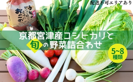 コシヒカリ と 旬の野菜詰合わせ お米 白米 精米 5キロ コシヒカリ