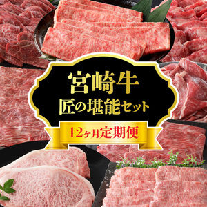 【定期便12回】宮崎牛 匠の堪能コース N0140-YG0233
