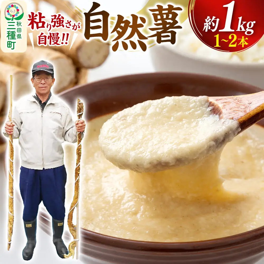 自然薯 約1kg（1～2本） 秋田県三種町産