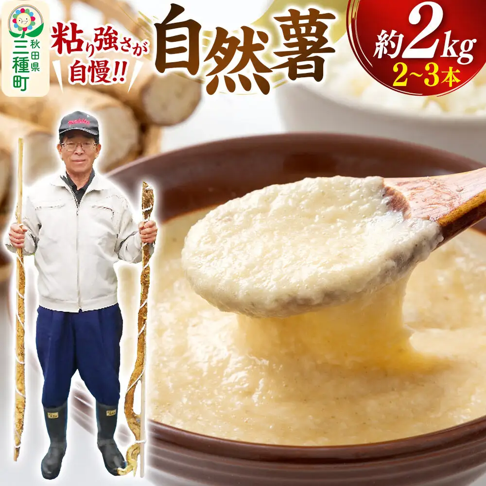 自然薯 約2kg（2～3本） 秋田県三種町産