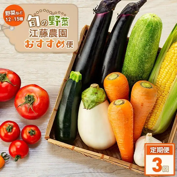 【定期便 全3回】江藤農園おすすめ 湯布院の旬の野菜（12～15種類！）詰め合わせ | 野菜