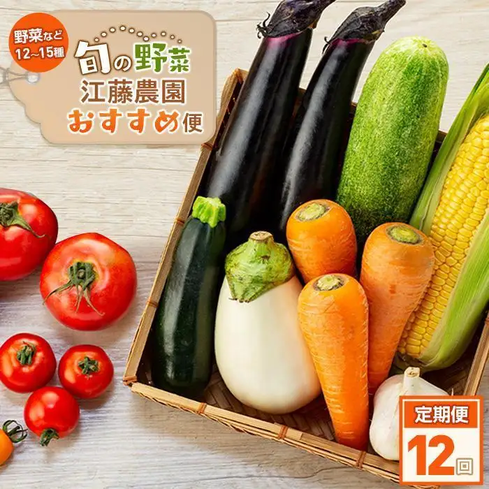 【定期便 全12回】江藤農園おすすめ 湯布院の旬の野菜（12～15種類！）詰め合わせ