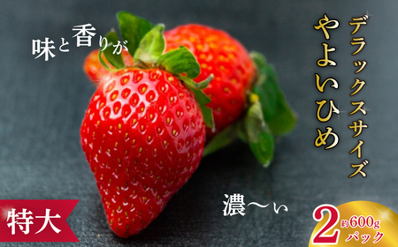 いちご 特大・デラックスサイズ 大粒いちご やよいひめ 2パック