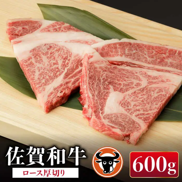 牛肉切り落とし 600g(300g×2) NAC012 牛肉