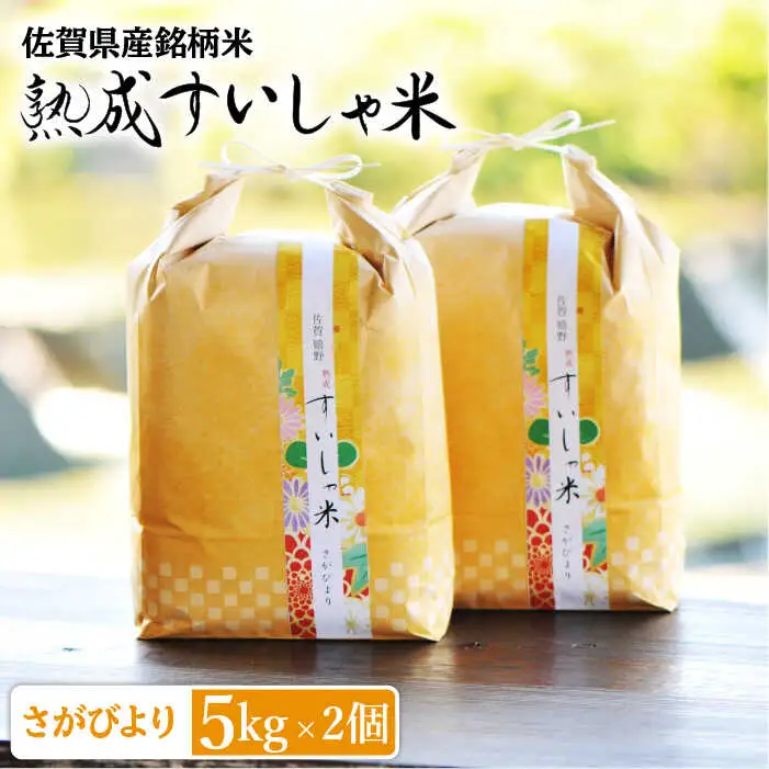白米 令和7年産さがびより10kg NAO011 白米