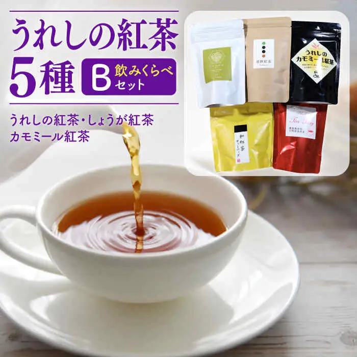紅茶 うれしの紅茶5種セットB NAP006 